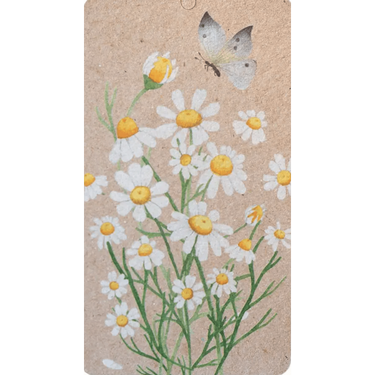 A Gift Tag - Chamomile Flower and Butterfly Print – High quality House of Dudley homewares